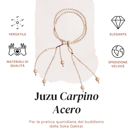 Juzu Carpino Acero
