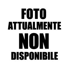 949 Nuovo Rinascimento  - FEBBRAIO 2026